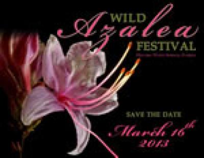 Wild Azalea Festival: Save the date - March 16, 2013